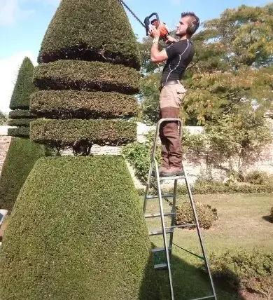abattage d'arbre Beaumont-sur-Sarthe-1