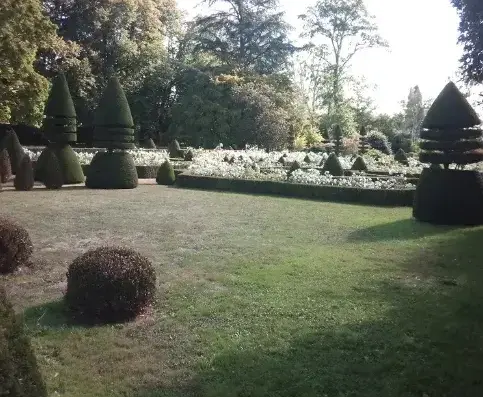 abattage d'arbre à Beaumont-sur-Sarthe - image 4