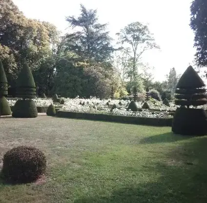 abattage d'arbre Evron-1