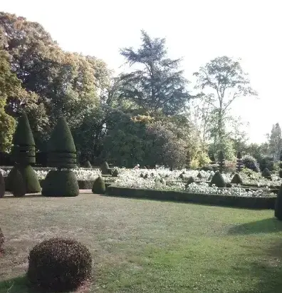 abattage d'arbre à Fresnay-sur-Sarthe - image 3