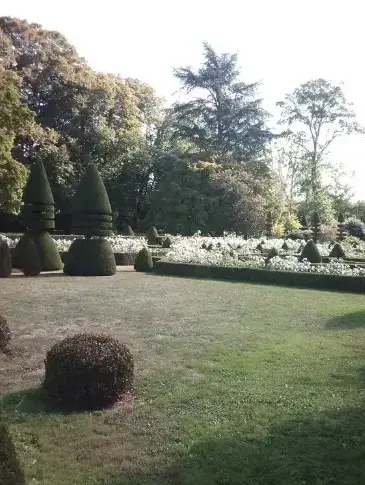 abattage d'arbre à Rouez - image 3