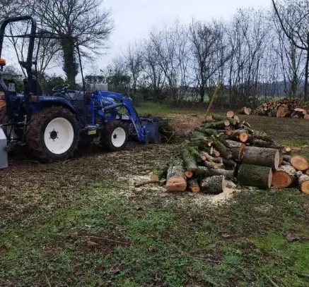 abattage d'arbre à Rouez - image 4
