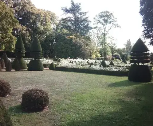 abattage d'arbre à Tennie - image 3