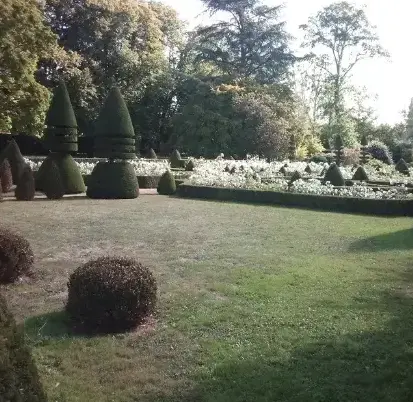 arboriste Beaumont-sur-Sarthe-1