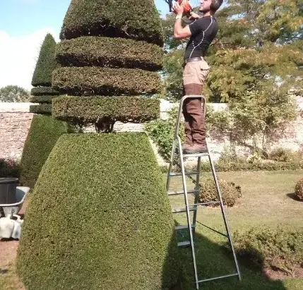 arboriste à Beaumont-sur-Sarthe - image 2