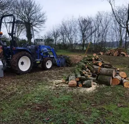 arboriste à Beaumont-sur-Sarthe - image 3