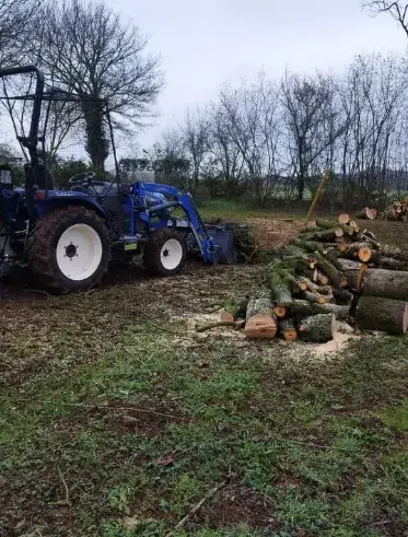 arboriste Brûlon-1