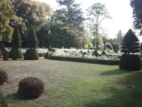 arboriste à Brûlon - image 2