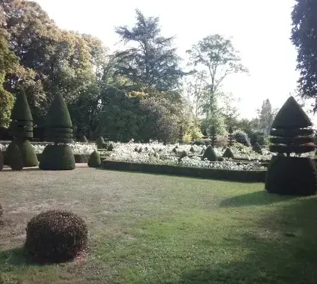 arboriste à Conlie - image 3