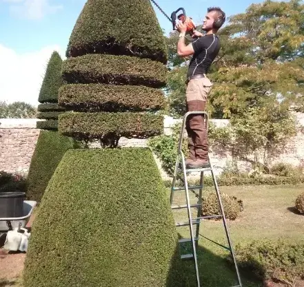 arboriste à Conlie - image 4