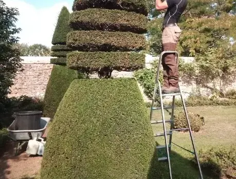arboriste Fresnay-sur-Sarthe-1