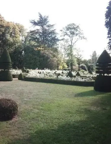 arboriste Fresnay-sur-Sarthe-5