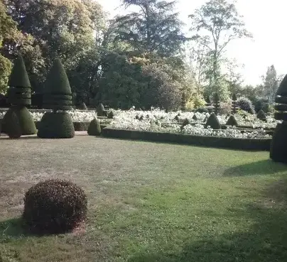 arboriste Rouez-1