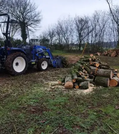 arboriste Tennie-1