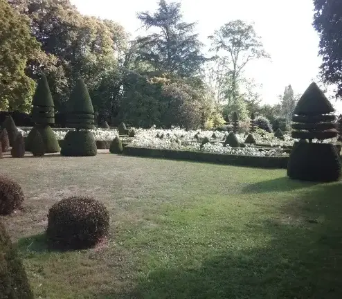 arboriste à Tennie - image 2