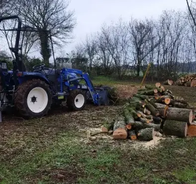 bucheronnage à Brûlon - image 2