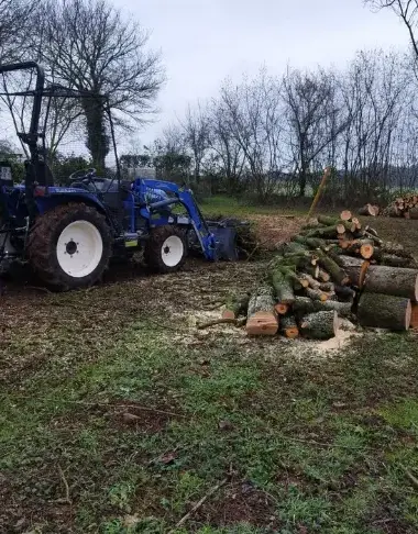 bucheronnage à Evron - image 4