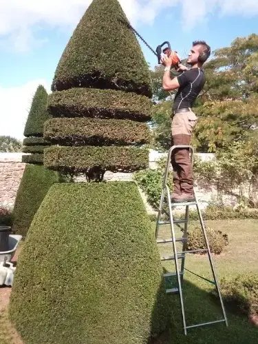 bucheronnage Fresnay-sur-Sarthe-1