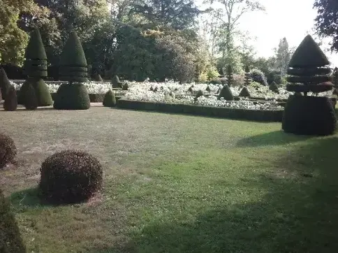 bucheronnage à Fresnay-sur-Sarthe - image 2