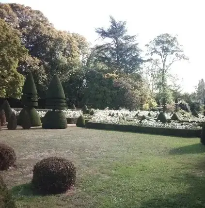 élagueur à Beaumont-sur-Sarthe - image 2