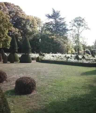 élagueur Brûlon-1