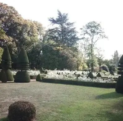 élagueur à Conlie - image 3