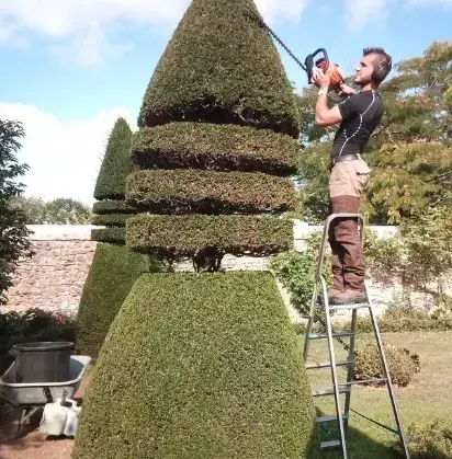 élagueur à Conlie - image 4