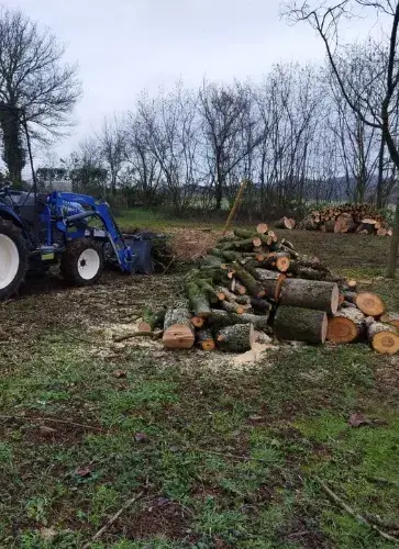 élagueur à Fresnay-sur-Sarthe - image 2