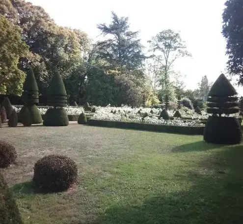 élagueur à Fresnay-sur-Sarthe - image 4