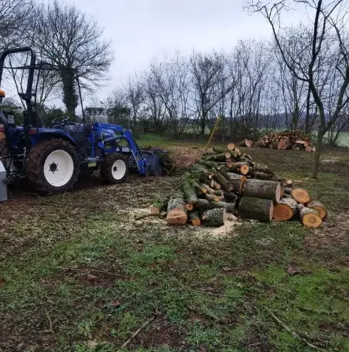 élagueur à Le Mans - image 2