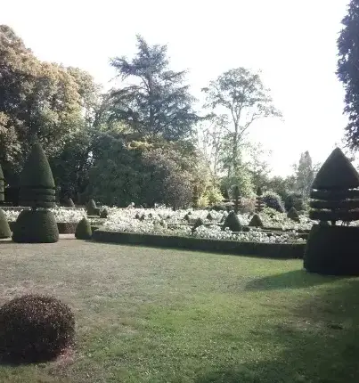 élagueur à Le Mans - image 3