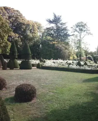 élagueur Rouez-5