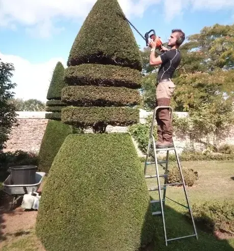 élagueur à Tennie - image 3