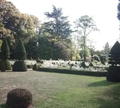 élagueur à Tennie - image 4