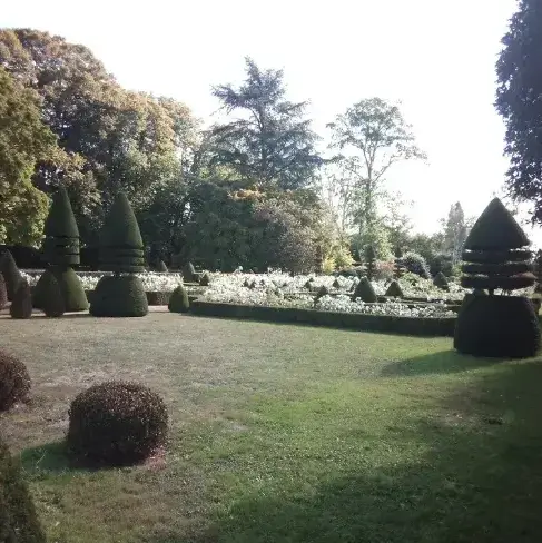 entretien jardin à Beaumont-sur-Sarthe - image 2