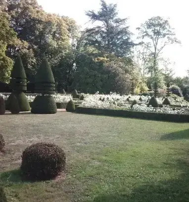 entretien jardin à Brûlon - image 2