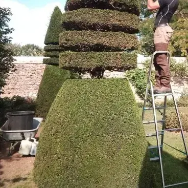 entretien jardin à Brûlon - image 3