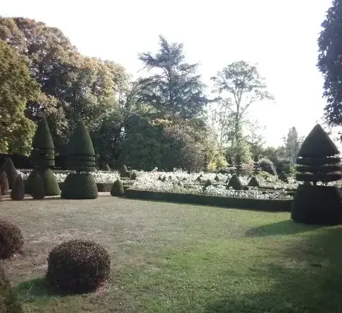 entretien jardin Conlie-1