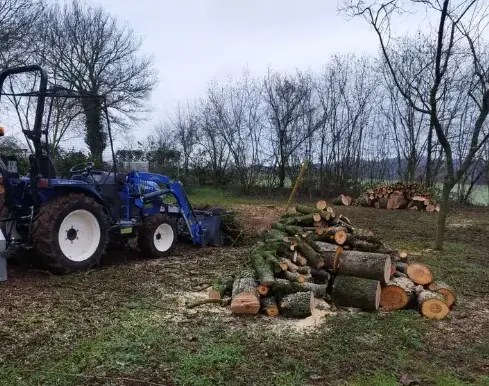 entretien jardin à Conlie - image 2