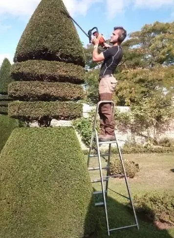 entretien jardin à Conlie - image 4