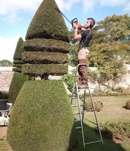 entretien jardin Evron-1