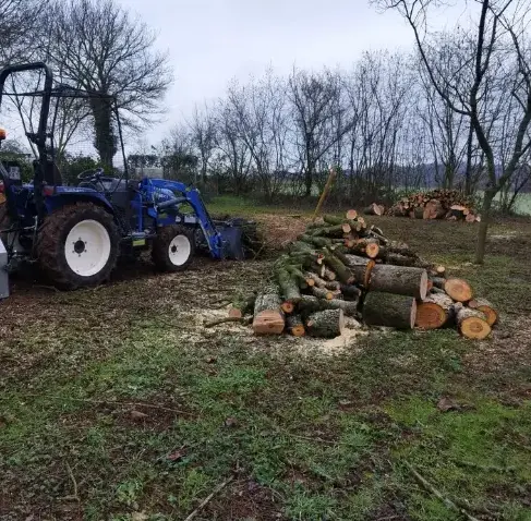 entretien jardin à Evron - image 3