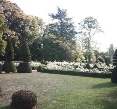 entretien jardin Evron-5