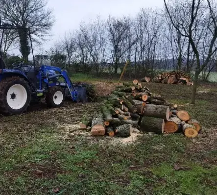 entretien jardin à Le Mans - image 3