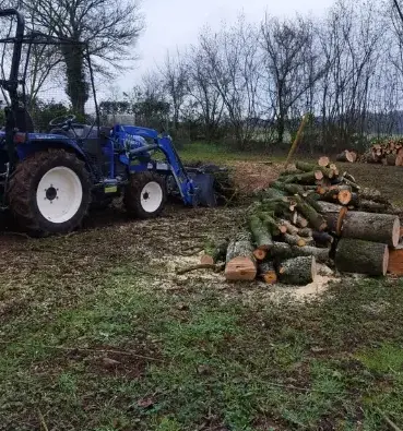 entretien jardin à Tennie - image 2