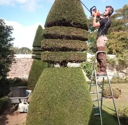 entretien jardin à Tennie - image 3