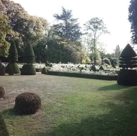 entretien jardin à Tennie - image 4