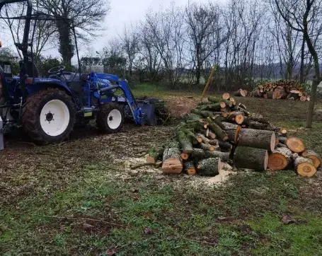 rognage de souche à Beaumont-sur-Sarthe - image 3