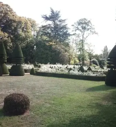 rognage de souche à Conlie - image 2