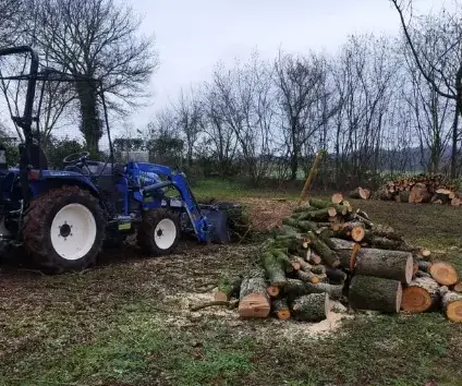 rognage de souche à Le Mans - image 2